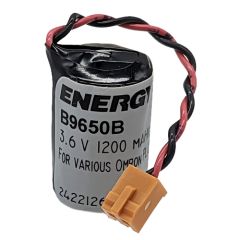 B9650B Lithium PLC Battery